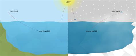 大梅沙水質怎麼樣 深入探討海水溫度與生態影響