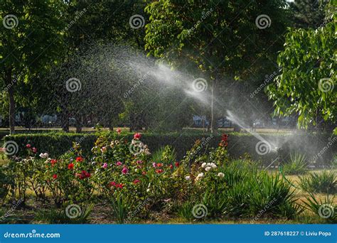 玉合公園裡的花開得特別綺麗